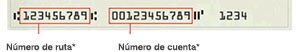 Número de ruta en la parte inferior izquierda del cheque y número de cuenta a la derecha del número de ruta.