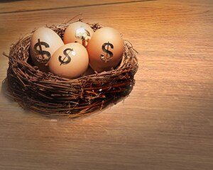 huevos con símbolos de dólar en un nido