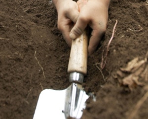 Photo of a child using a hand shover in dirt