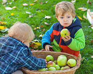 Foto de hermanos pequeños comiendo manzanas de una cesta
