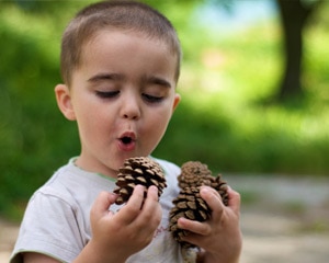 Photo of a little boy playing with pinecones