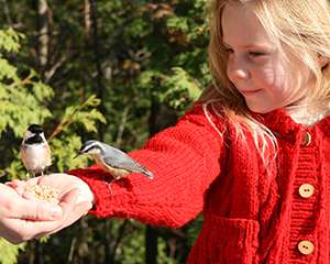 Little girl feeding two birds from her hands