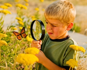 Niño rubio mirando a través de la lupa a una mariposa en un campo de flores