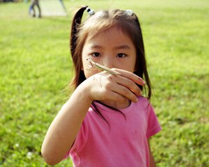 Una niña joven mira un saltamontes en su mano
