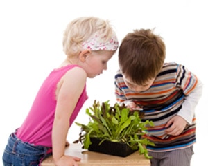 Dos niños examinando una planta en una mesa