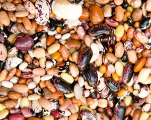Array of seeds displayed in a photo