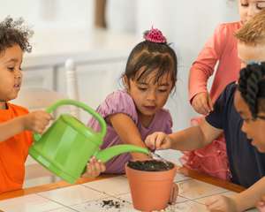  Group of children planting seeds in a pot and pouring water on the soil