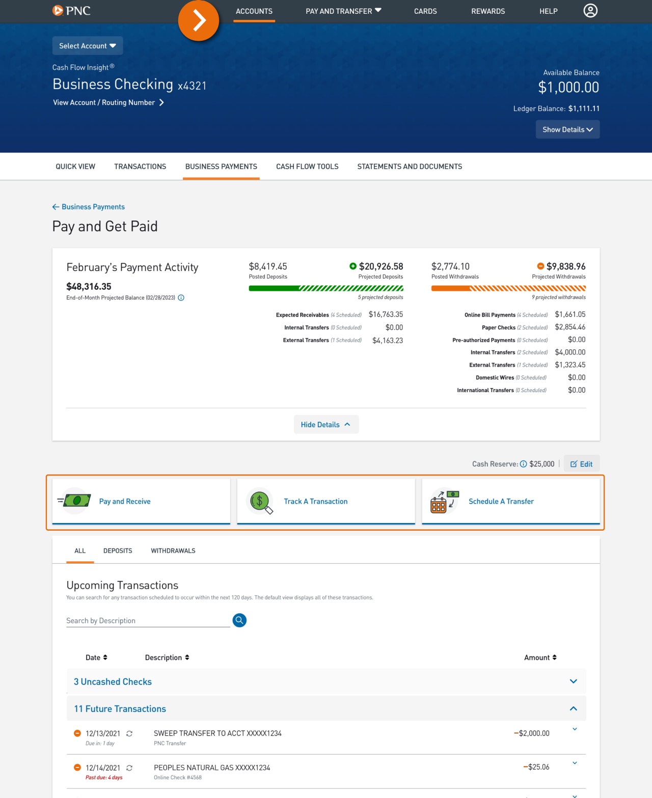 Screenshot of Pay and Get Paid landing page with Payment Activity summary expanded.