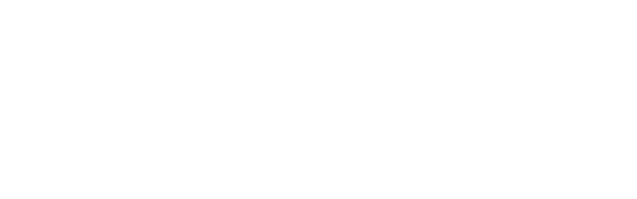 TCW Steel City