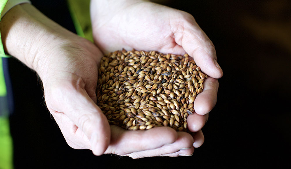 Hands holding Simpsons Malt