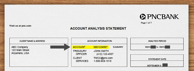  Summary Account Number on CAA statement