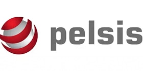 pelsis