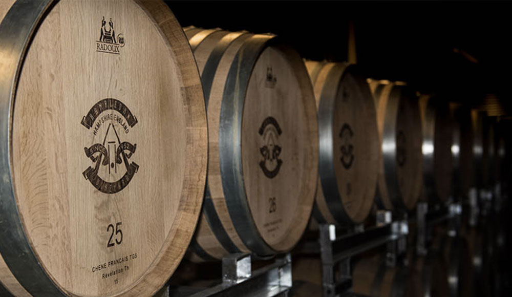 A row of Hambledon Vineyard wine barrels.