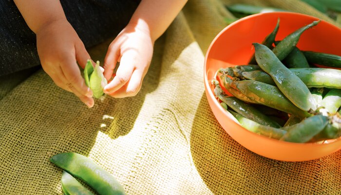 Child Peeling Beans