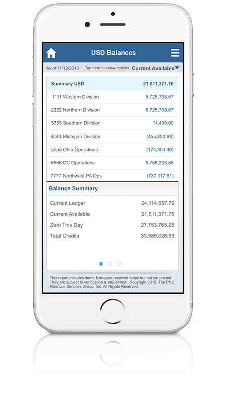 Iphone snapshot of USD Balances on PINACLE