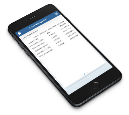 Mobile device with a snapshot of credit management on PINACLE